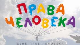 Чем важна Декларация прав человека в Глобус