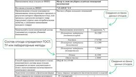Что означает номер паспорта в Глобус