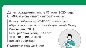 Что такое СНИЛС в Глобус