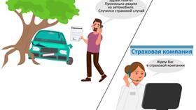 Что такое страховая сумма в Глобус