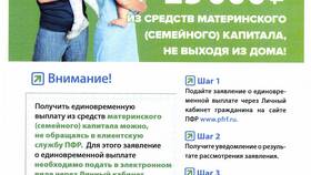 Дети ПФР: что это означает в Глобус