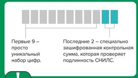Из чего состоит номер СНИЛС в Глобус