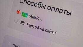 Как добавить комментарий к заказу в Dodo Pizza в Глобус