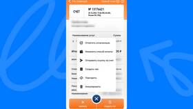 Как оплатить выставленный счет в Глобус