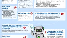 Как отвечает ИП: правовые аспекты и практические рекомендации в Глобус
