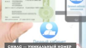 Как получить СНИЛС физическому лицу в Глобус