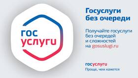 Почему исчезли Госуслуги в Глобус