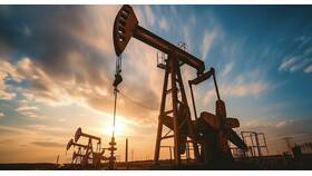 Почему падают нефтяные акции в Глобус
