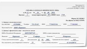 Реквизиты справки 