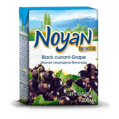 Черная смородина-виноград нектар Noyan premium 0.2 л в Глобус